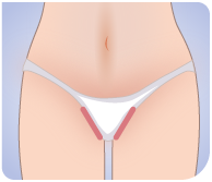 內V-Line