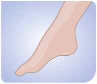 腳背